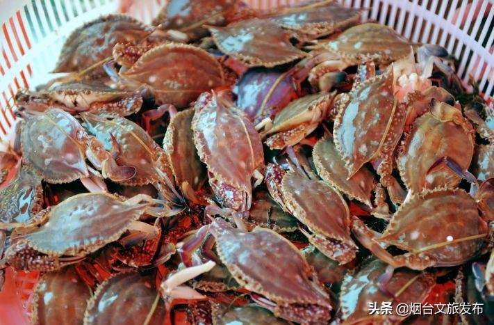 一到夏天，烟台就成了人们心心念念的消暑天堂！