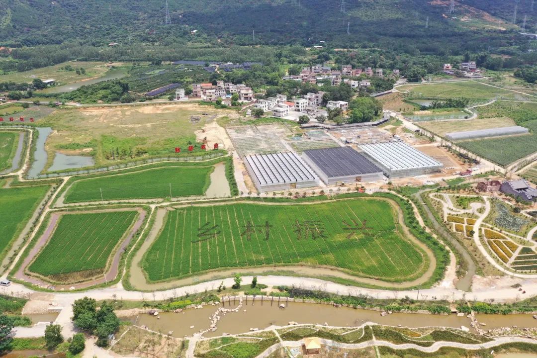 清远市清城区：扛起中心城区首位担当加速度推动高质量发展