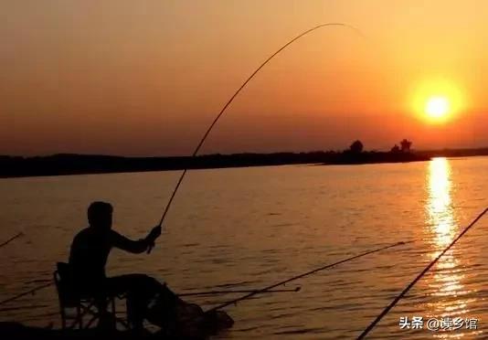 读乡馆,读故乡的感悟20字