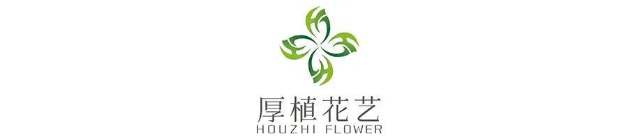 商务前台鲜花,前台花选择