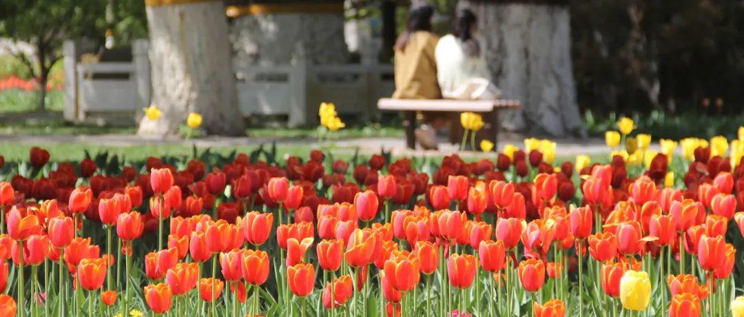 交大新生入学须知,北京交大预约进校