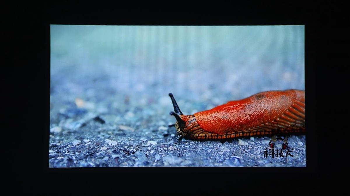 联想小新520投影仪观影效果,联想小新520投影仪测评