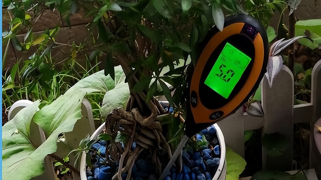 养花必买的有什么东西,养花必备的10件神器