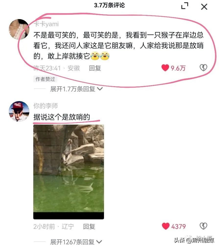 盘点那些在网购的山寨货,盘点那些网购的山寨物品