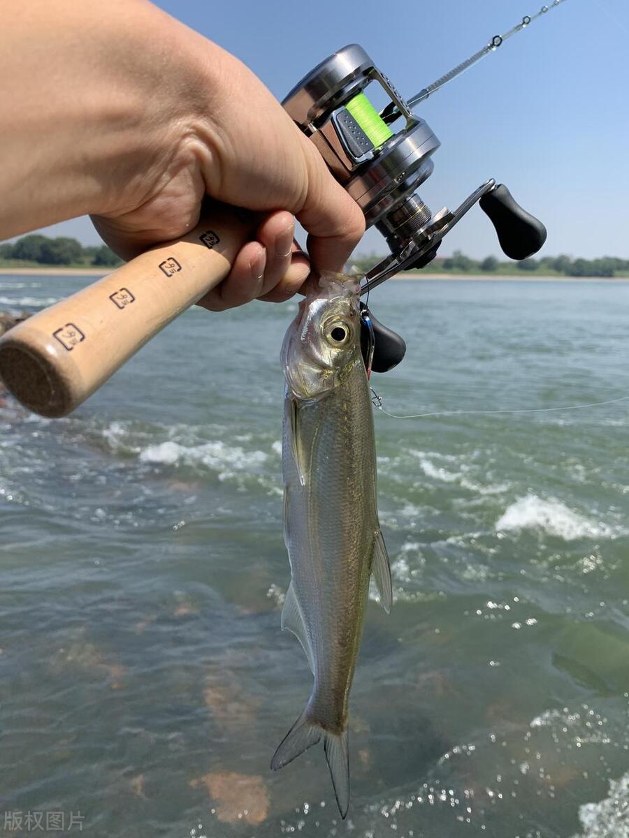 路亚实践,路亚感受