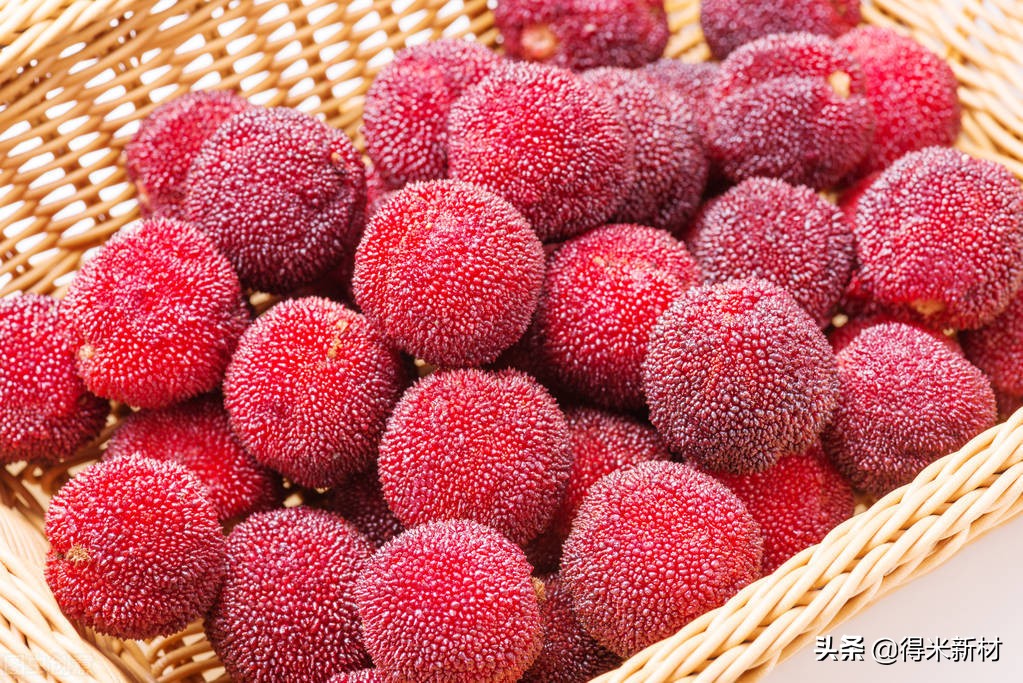 杨梅虫子有蛋白质吗,杨梅有虫子怎么吃