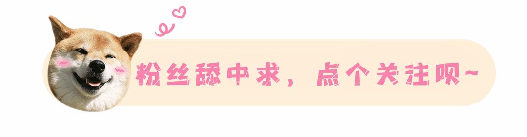 软路由ikuai如何修改登录ip,ikuai软路由怎么设置多个ip