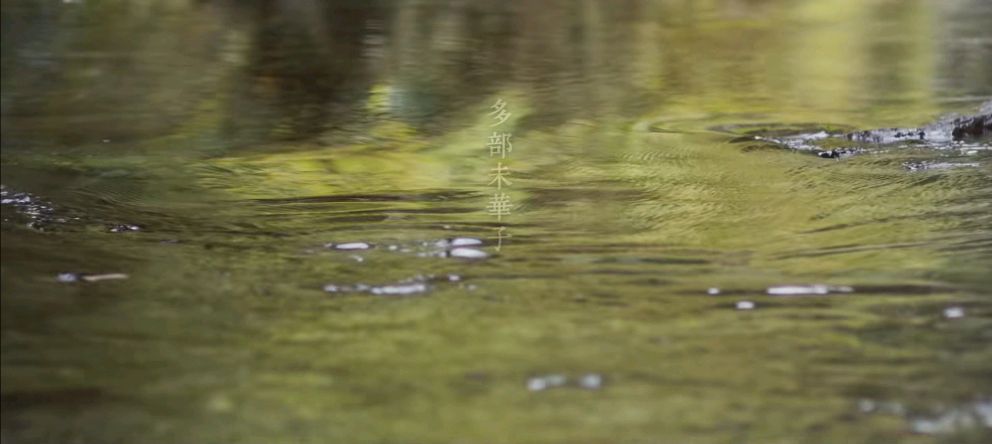 疗愈心灵的电影精彩片段,疗愈人心的日本电影