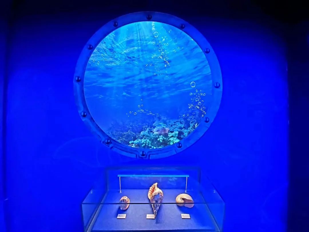 济南秋天打卡地,济南秋天最美的风景