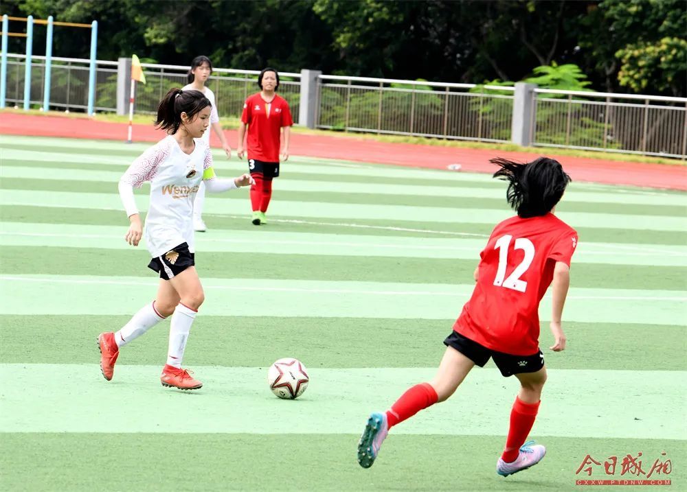 莆田开花,莆田花开