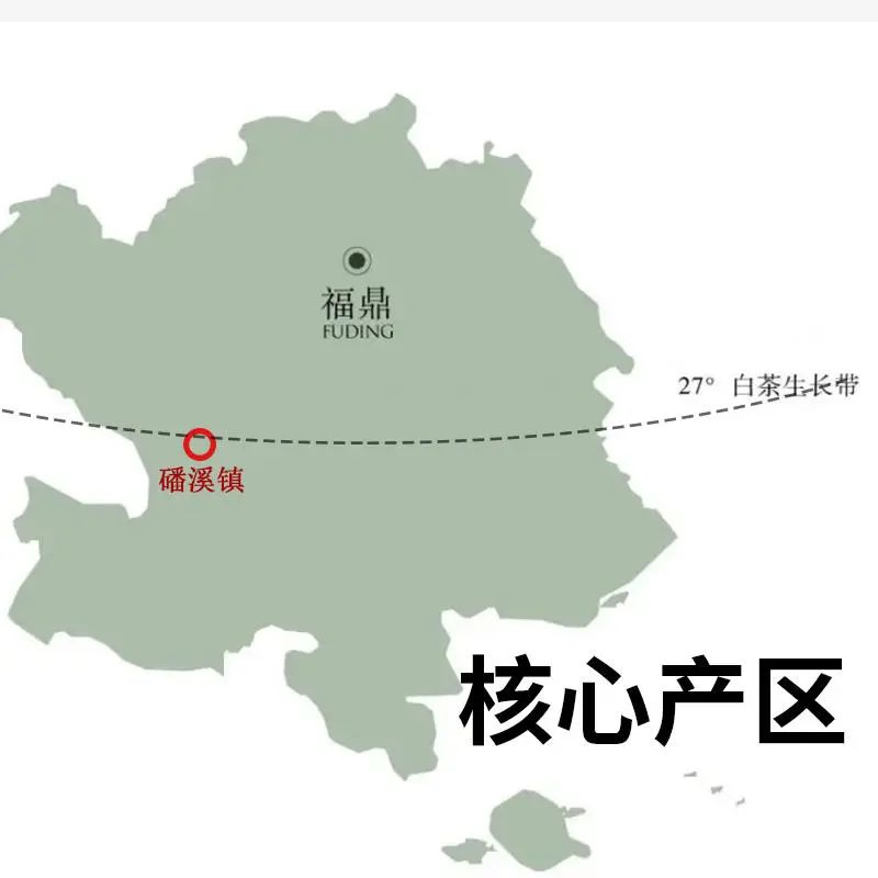 安吉白茶和天目湖白茶哪个更好,天目湖白茶溧阳富硒白茶