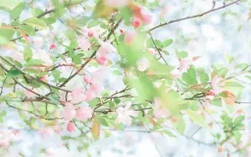 人生百味谁能不累熬过就是重生,人生百味谁能不累熬过了就是重生