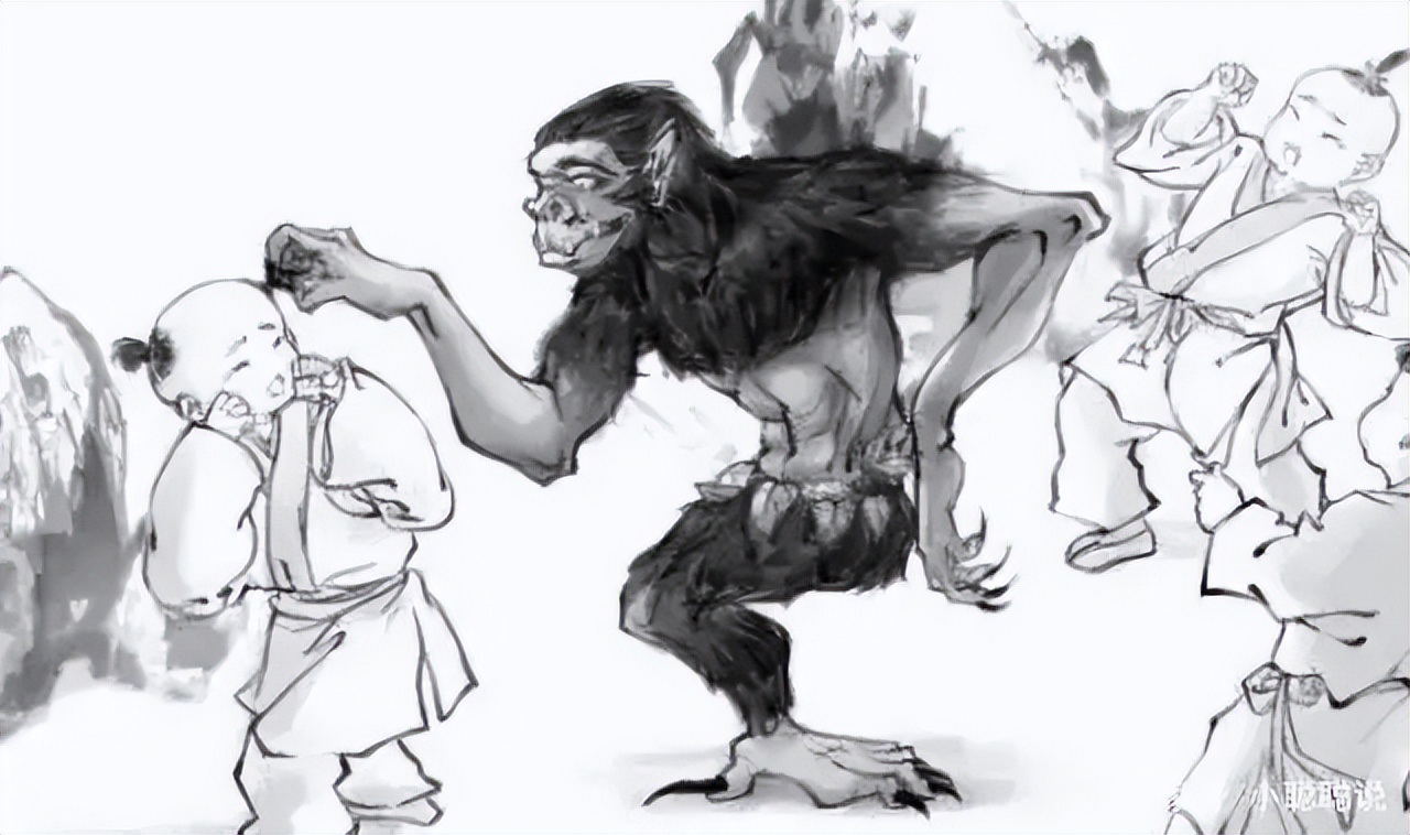 山魈vs老虎，当猴科老大遇到猫科二弟，谁会笑到最后呢？