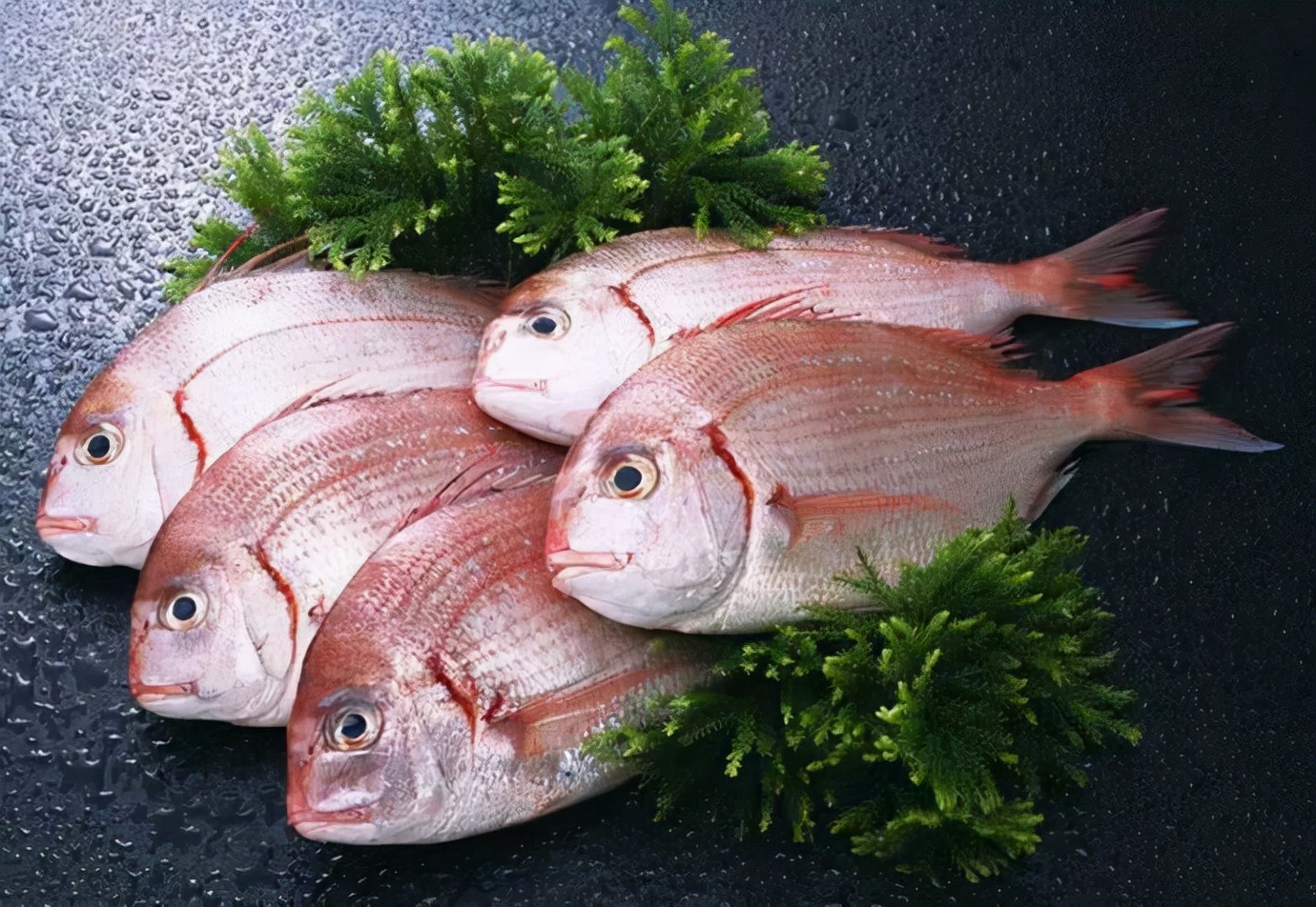 初春河津樱花图片大全,河津樱花品种大全