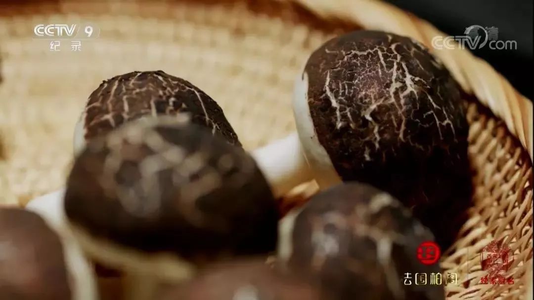 法国硕士申请博士条件,国外硕士申请国内博士