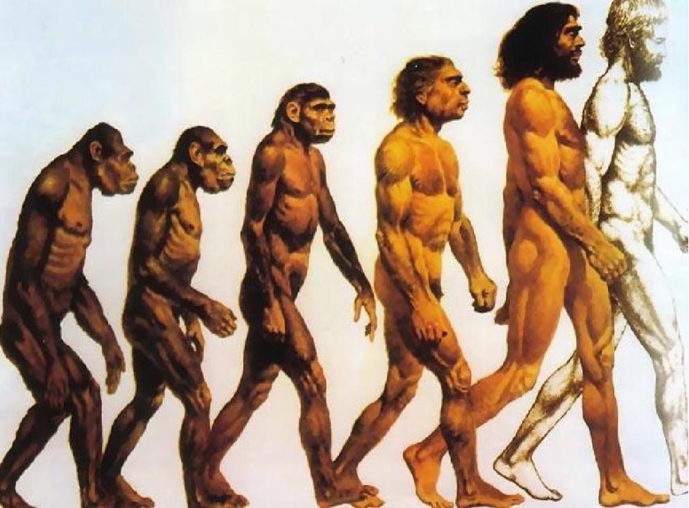 6500万年前恐龙灭绝是谁的错,恐龙如果不灭绝会进化成什么样