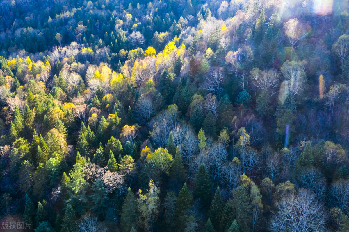 西安周边游玩的地方排行榜前十名,西安周边摩旅一日游最佳景点