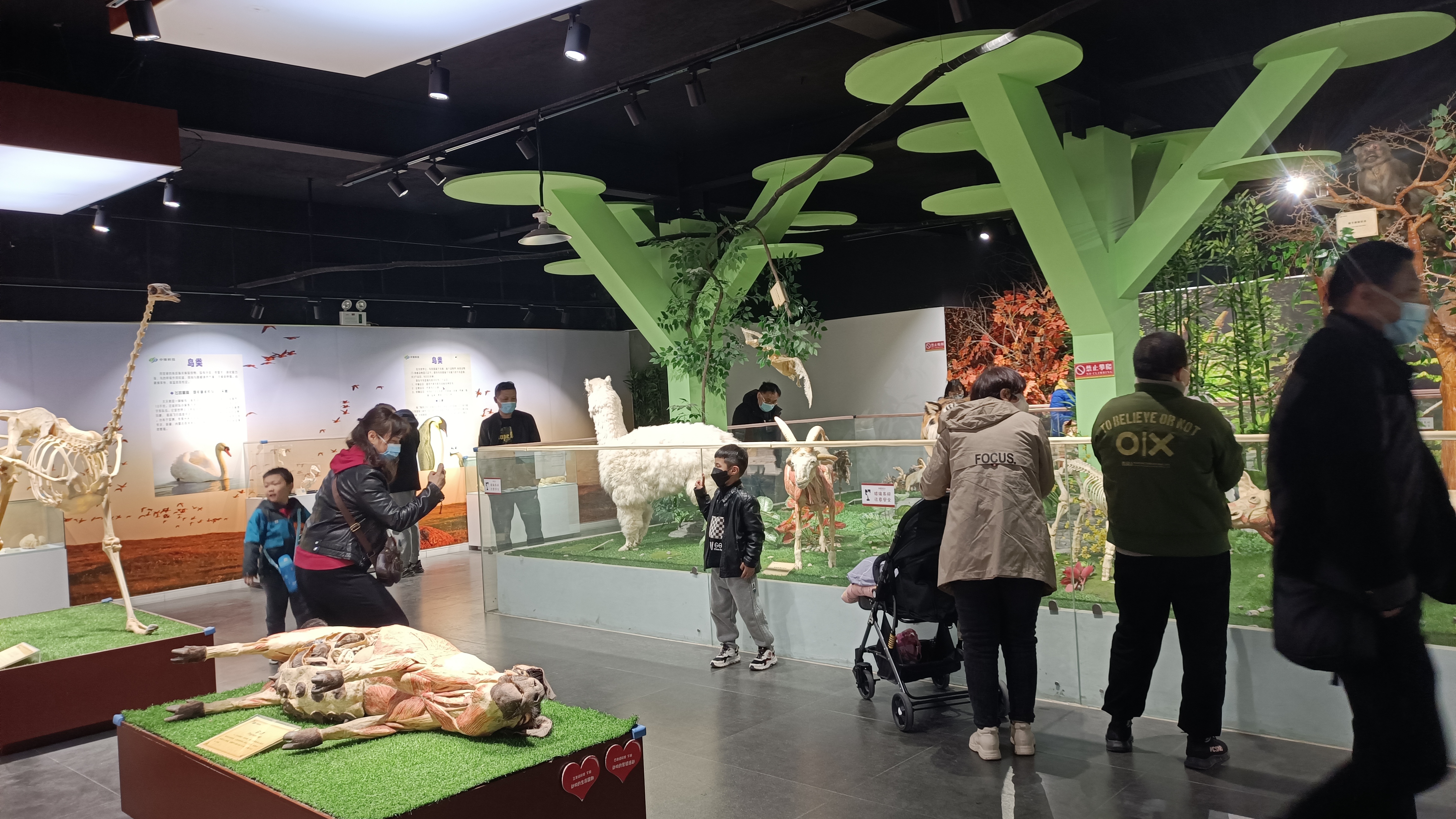 郑州亲子游周末游玩攻略,郑州适合亲子游玩的地方