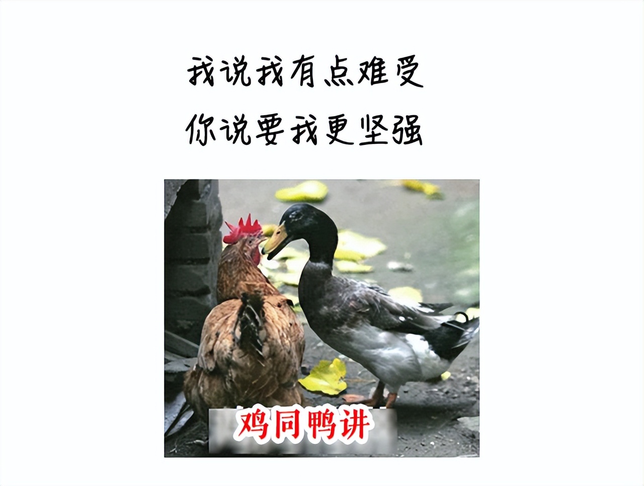 “妈妈再也不用担心我‘玩鸡鸡’！”深圳南山首家儿童包皮门诊开诊