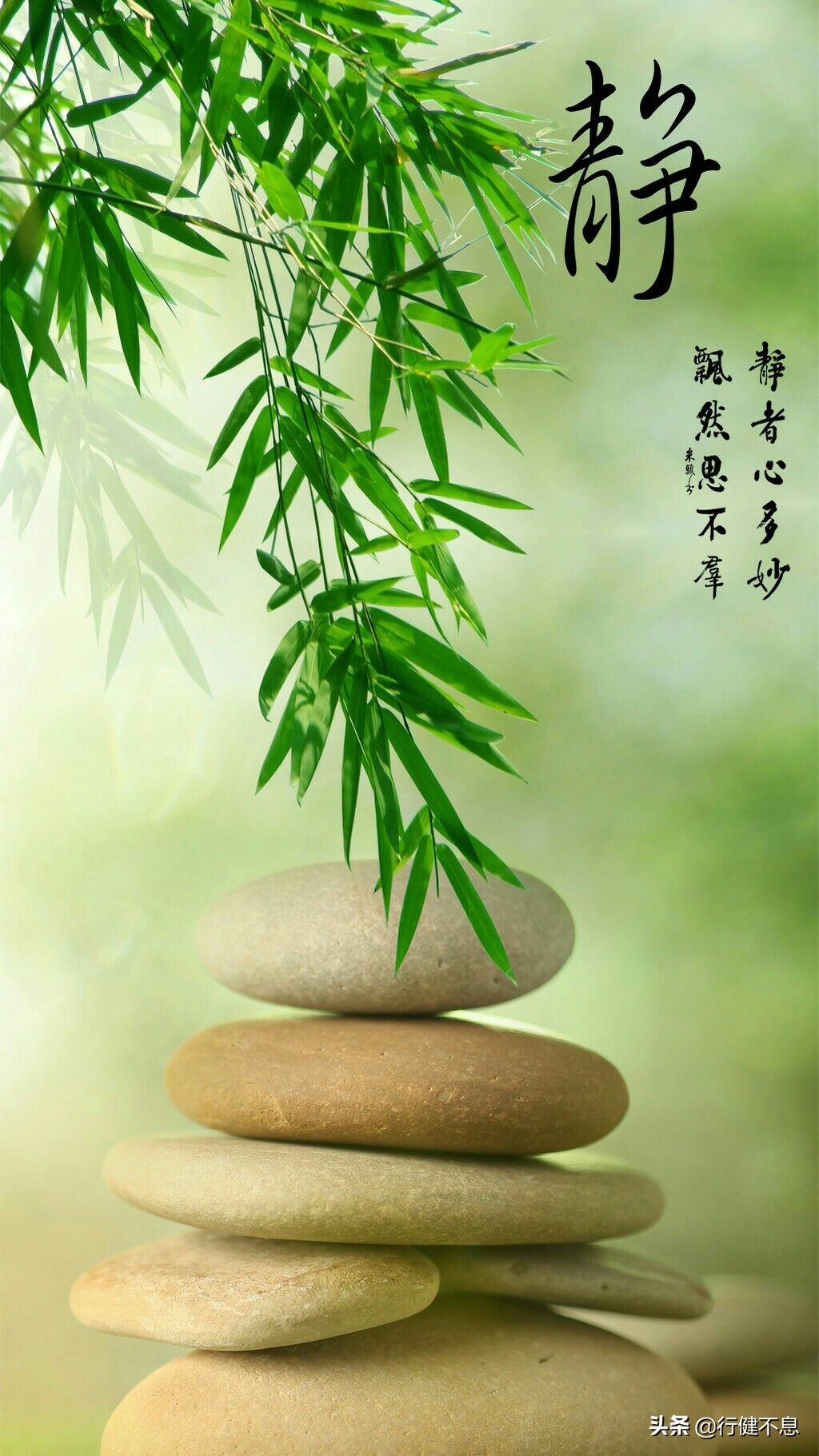 竹解心虚即我师：十二首著名的诗词，展现大诗人们的翠竹情怀