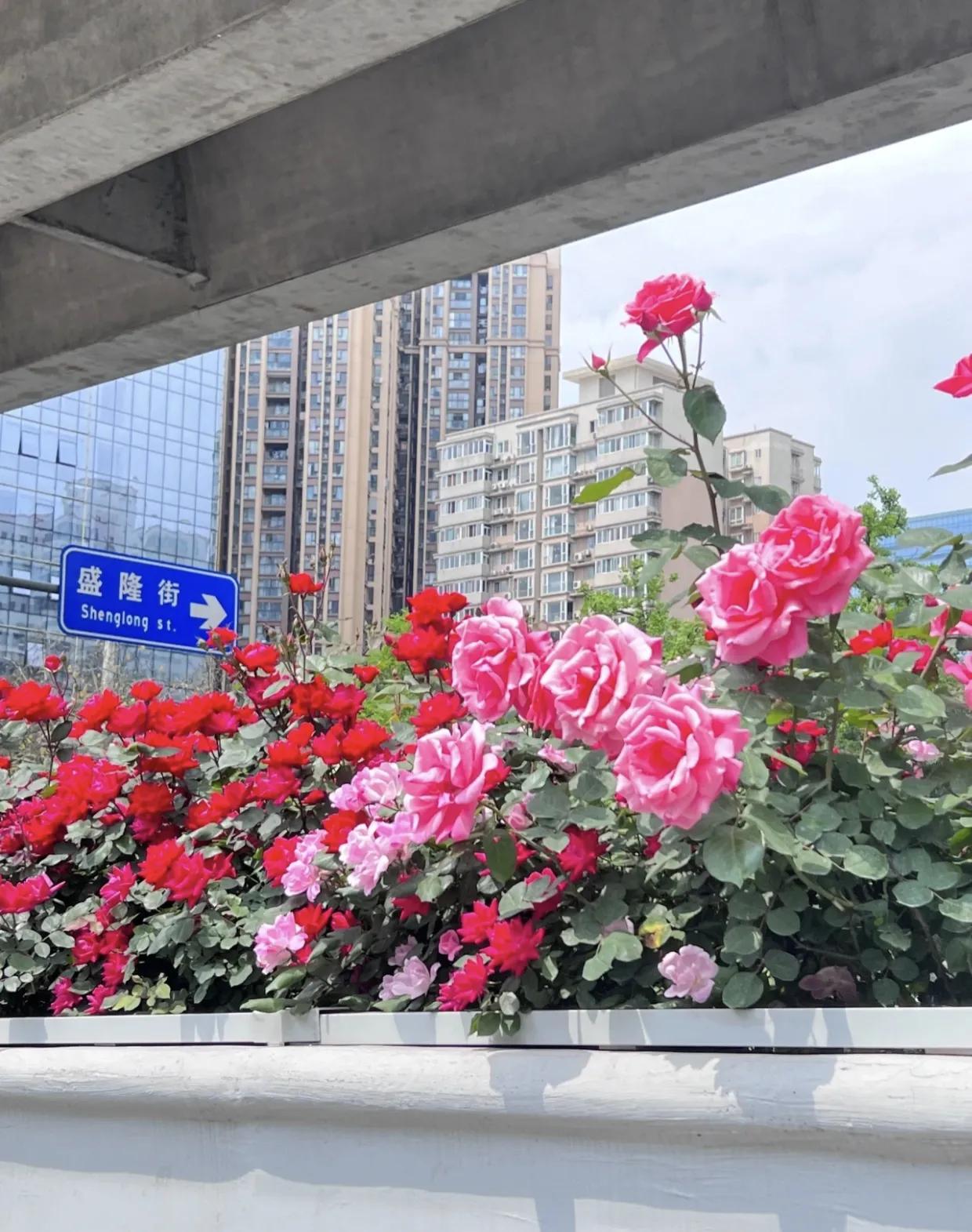 四川只有成都发展好吗,成都是不是唯一一座内陆城市