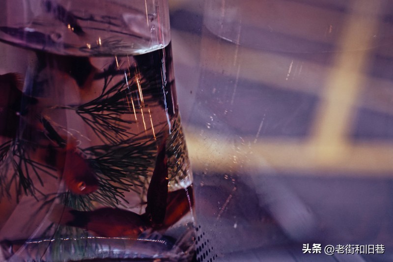 罗生门和黄粱梦,罗生门香港live