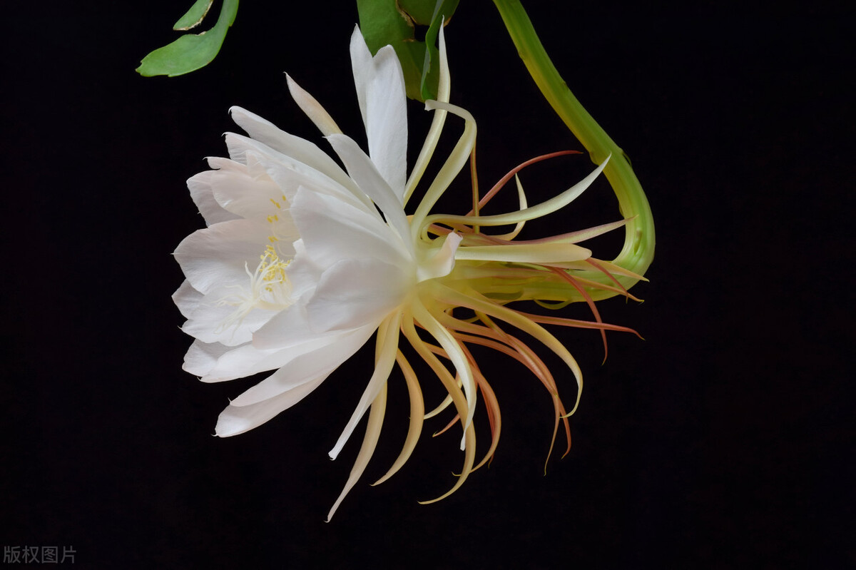 微信聊天引发绑架,微信绑架了你的生活