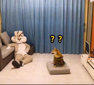 外卖小哥跳舞搞笑gif,外卖小哥gif