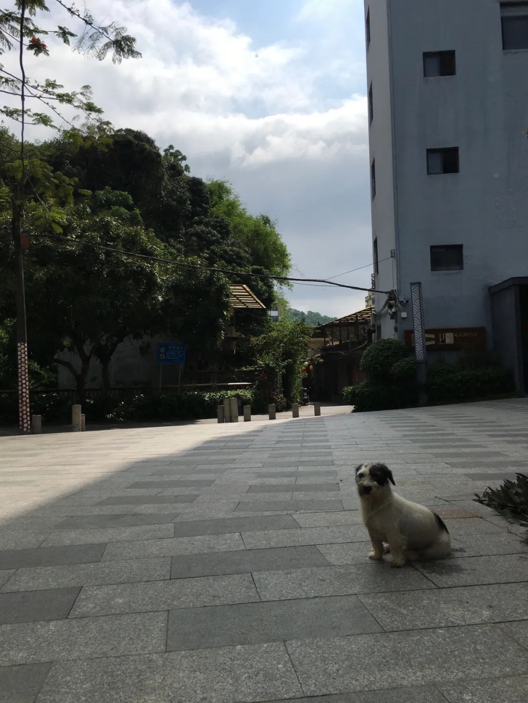 《旭光骑行深圳》第22站——龙华区观湖街道