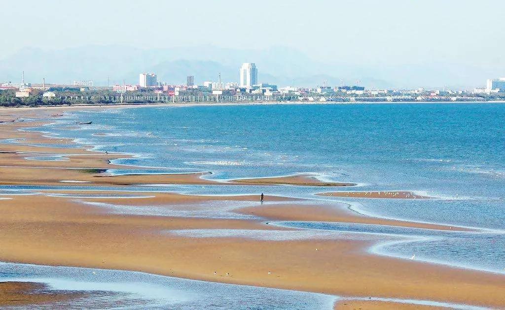 秦皇岛海滨国家森林公园票价,秦皇岛海滨附近景点推荐