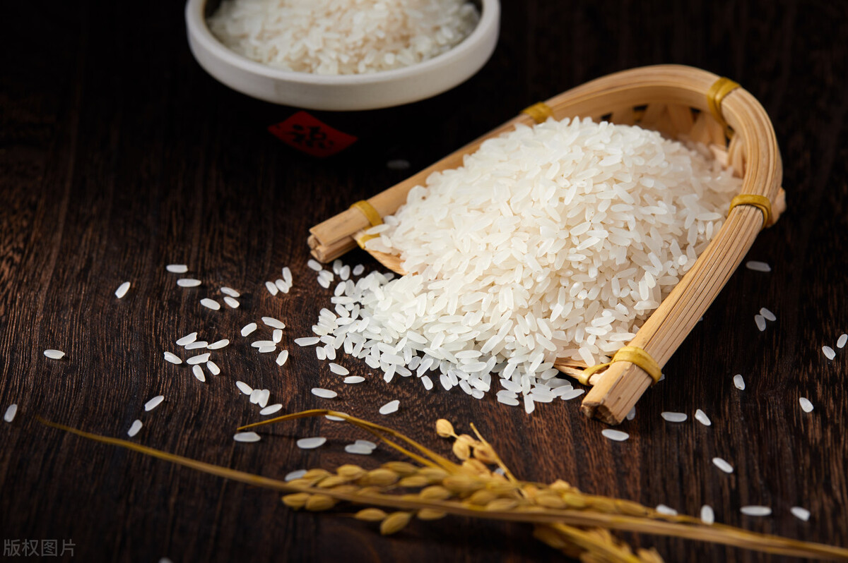 大米批发怎么找进货渠道,大米进货渠道