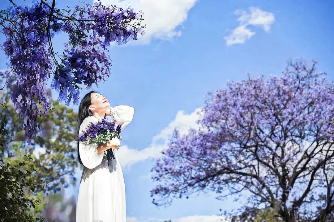 喜欢在这座江南城市里生活,非常喜欢这座自带浪漫的美丽城市