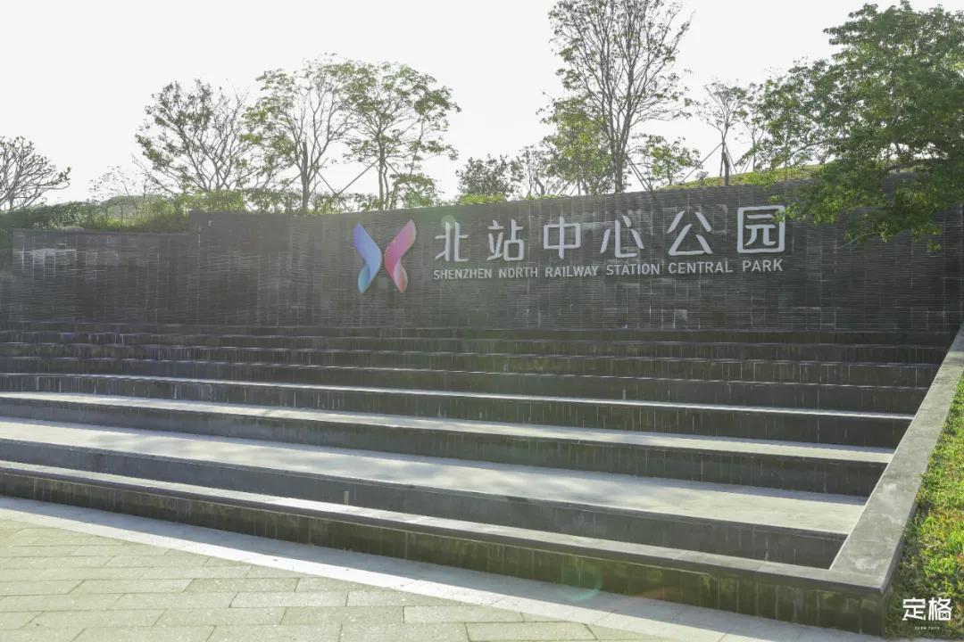 雨林打卡网红地滑梯,深圳哪里有超大型滑梯