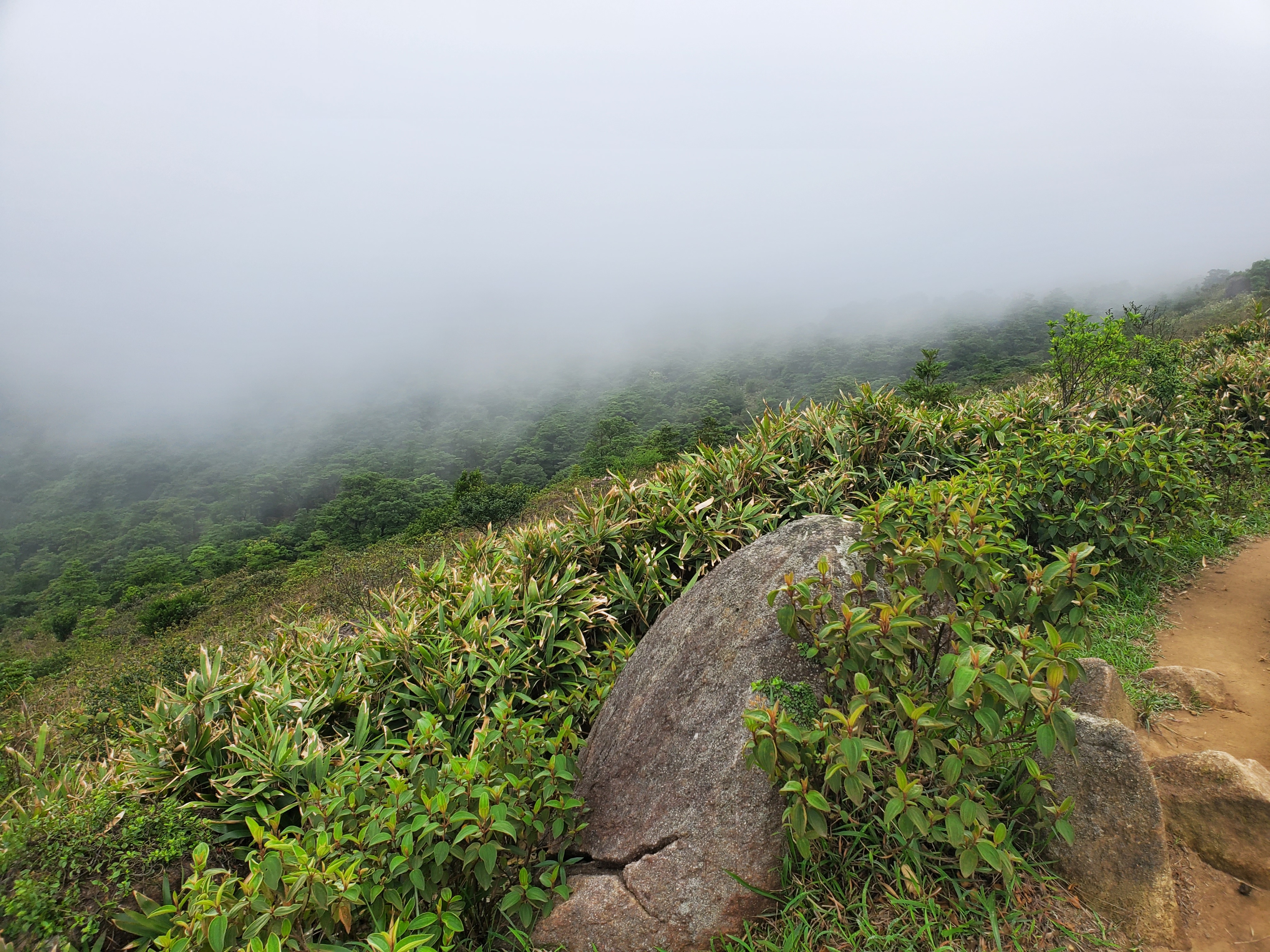 徒步香港大帽山,香港麦径徒步攻略