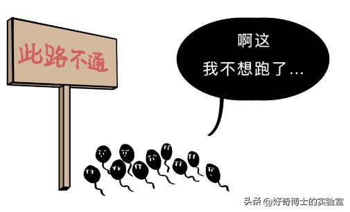 为了延长时间,同房时忍着不射有用吗?对身体会造成哪些影响?