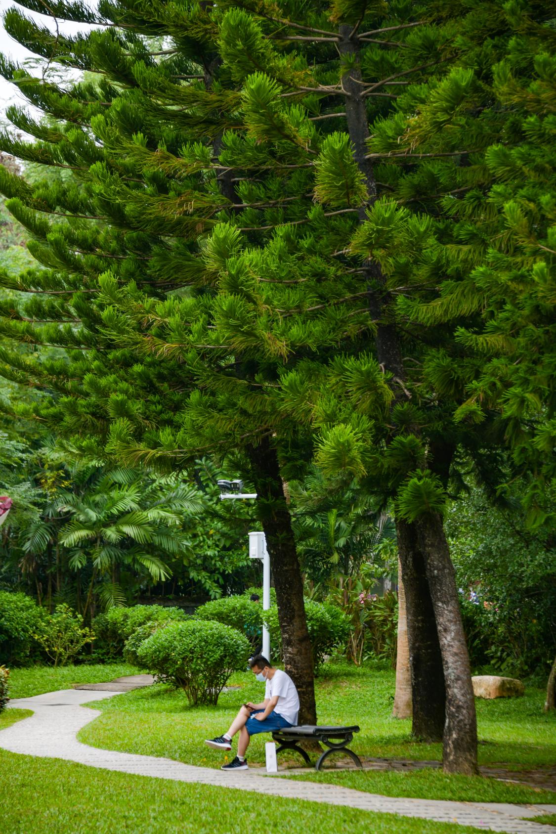 深圳东湖公园冬天游玩攻略,东湖公园打卡景点