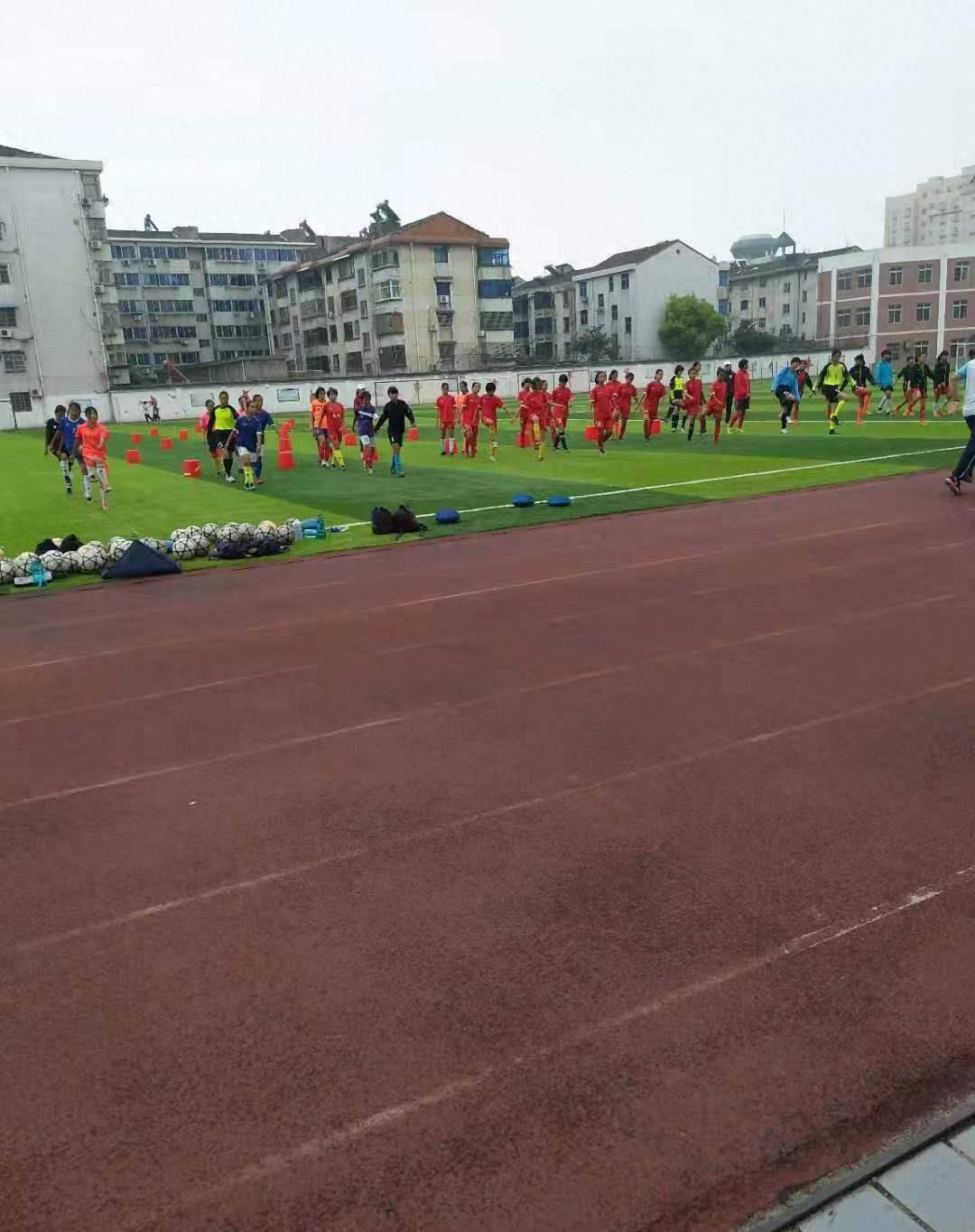 江苏女足教练事件,足球教练猥亵女队员警方介入