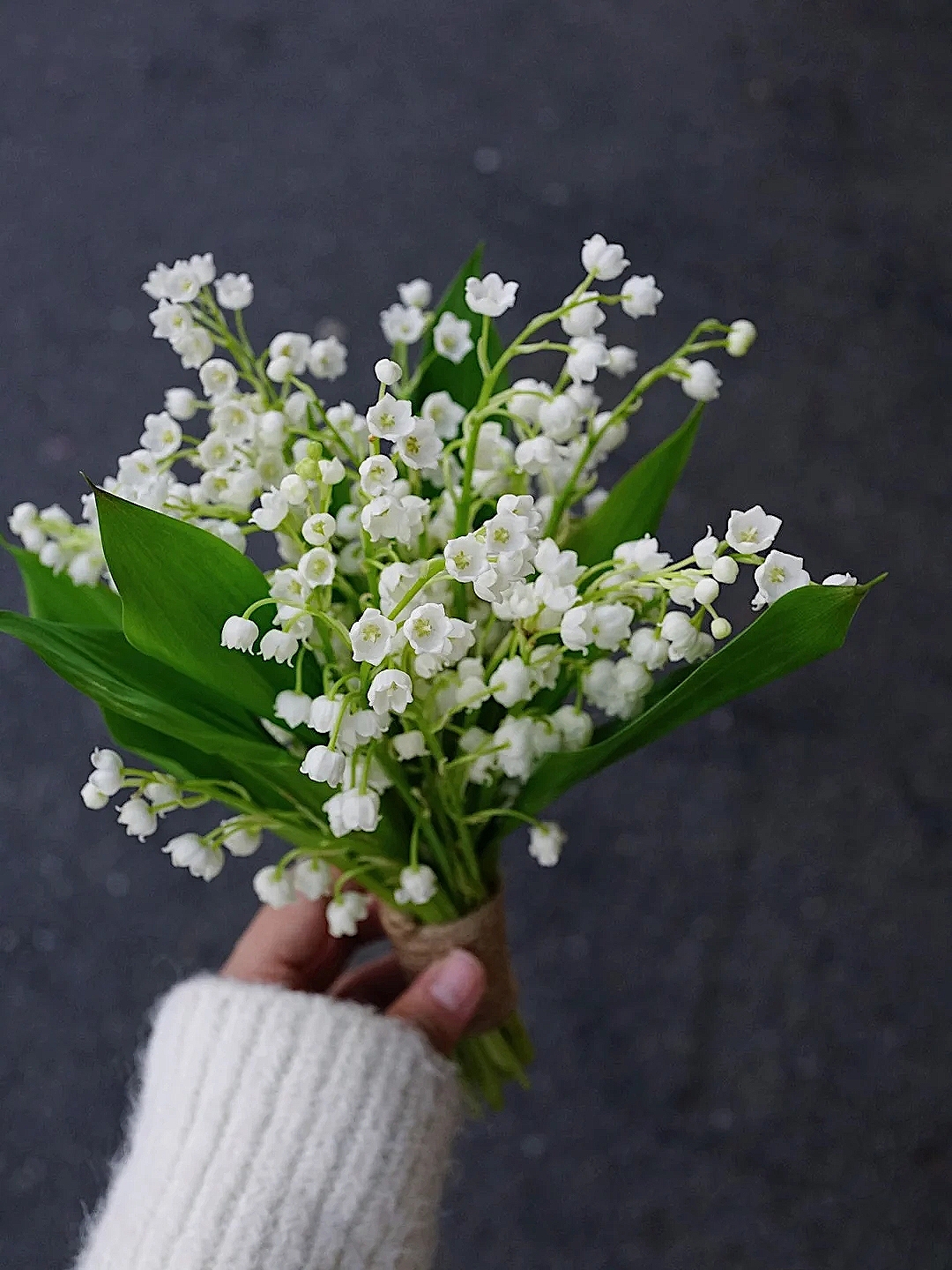 花艺教程花材打理知识,花艺教程常用花材及叶材有哪些