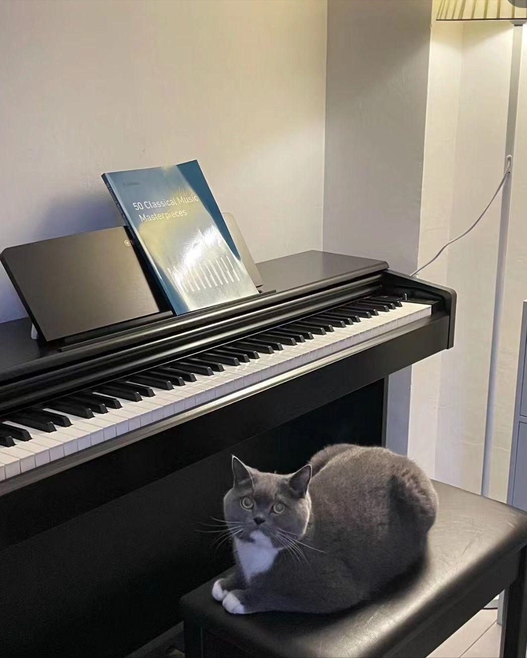 5000左右雅马哈电子琴,卡瓦依kdp120