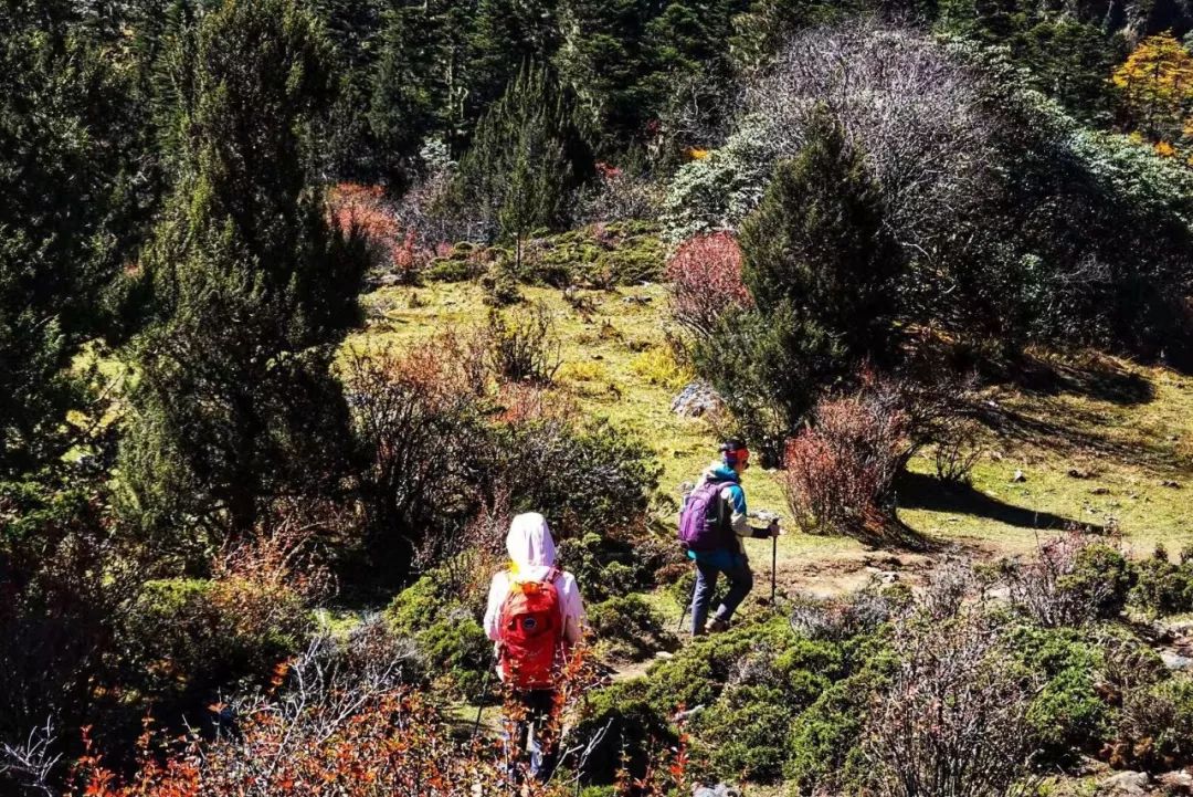 稻城亚丁解封后，又一顶级越野线路——洛亚大环线横空出世