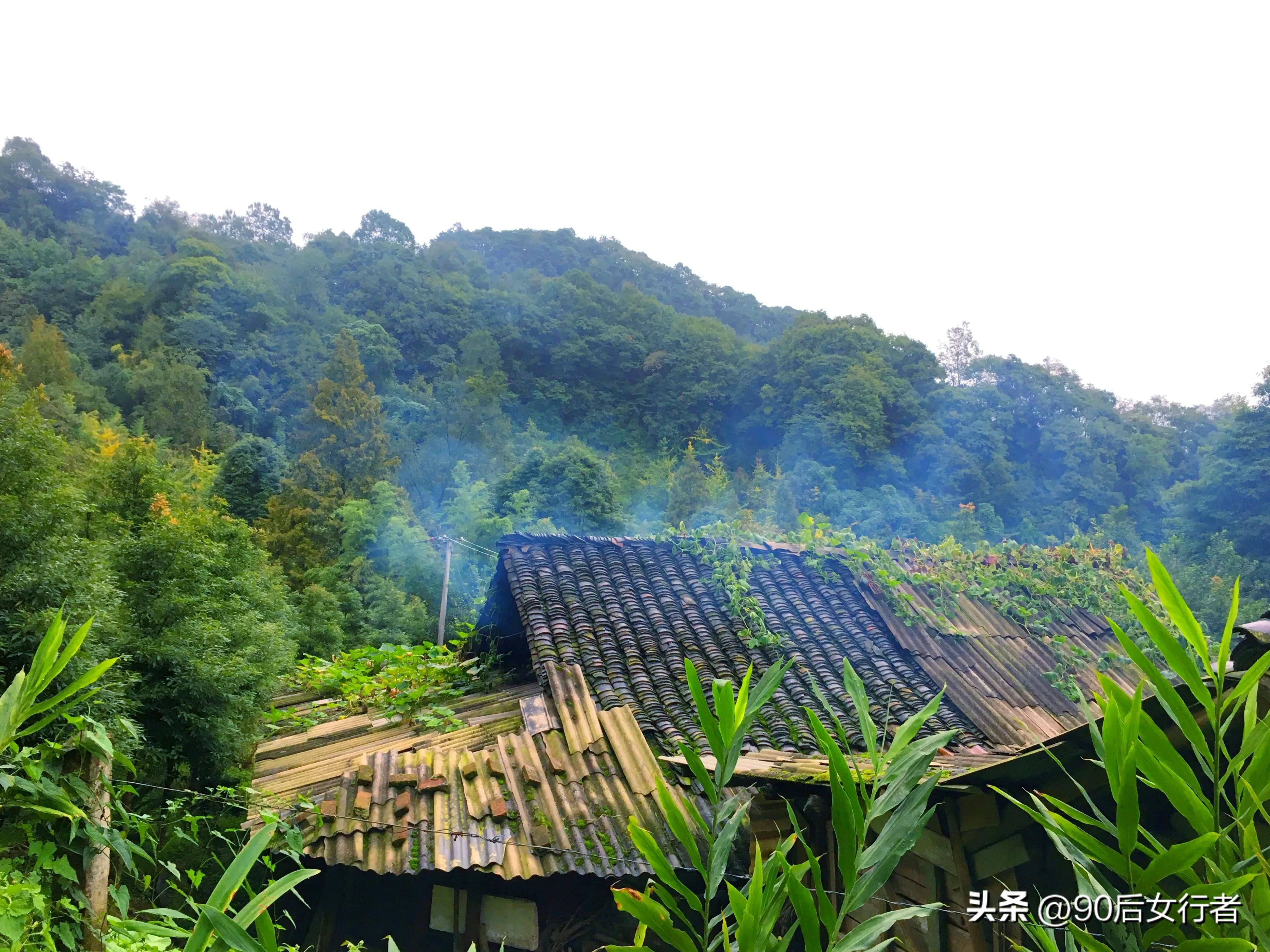 走进山间的小路感受大自然,成都深山老林旅游最好去处