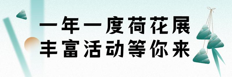 深圳enjoy舞团直播间,在深圳过端午有多快乐
