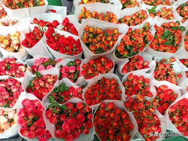 亚洲最大鲜花市场商贩讲述：今年的花价比往年高，每天都有人想加入，也有人离开