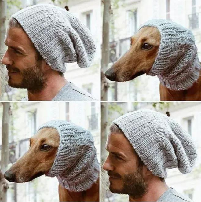 一只被抛弃的小狗逆袭变身超狗,一只被逆袭的中国狗狗