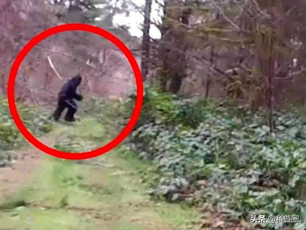 神农架深处为何被列为禁区进不去,神农架深处为何被列为禁区知乎