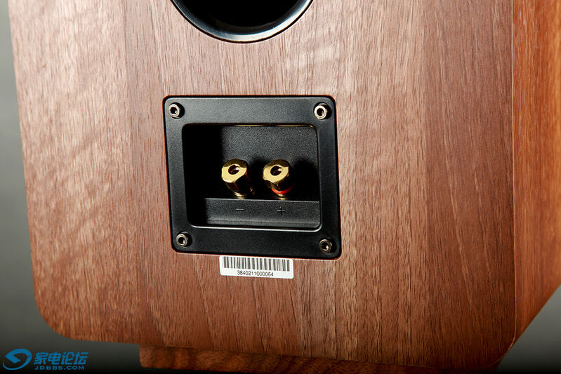 天逸童笛c8音箱评测,天逸童笛c8配什么功放