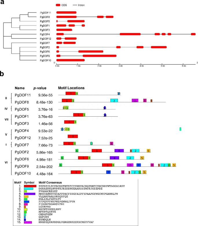 如何使用EOSM290机器，在不同加工条件中，制造出极端形状的薄壁