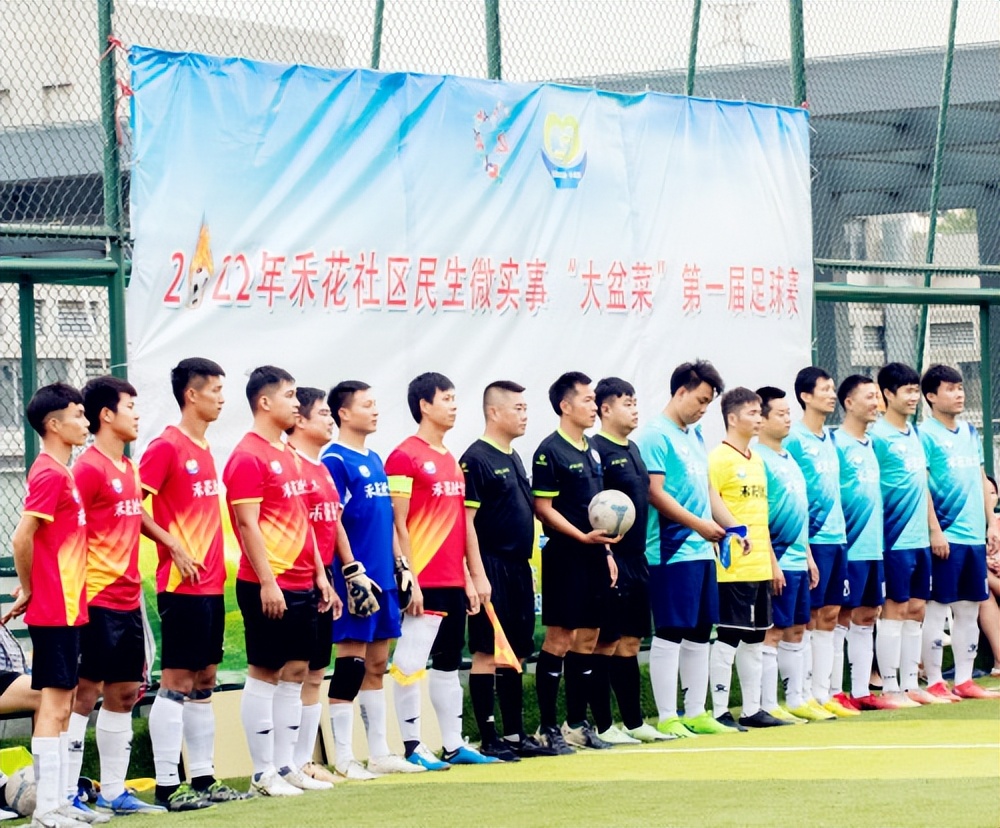 把自家楼顶改造成种菜养鸡的地方,楼顶露台草坪花园改造