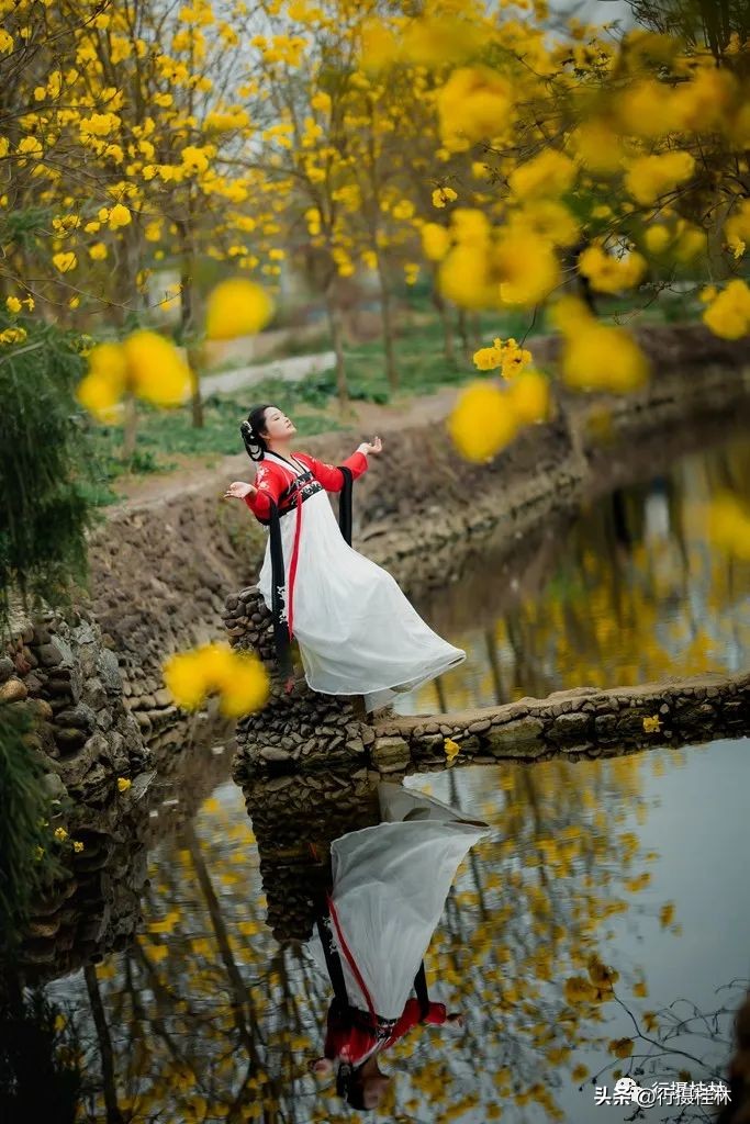 花仙子风铃,风铃花仙子