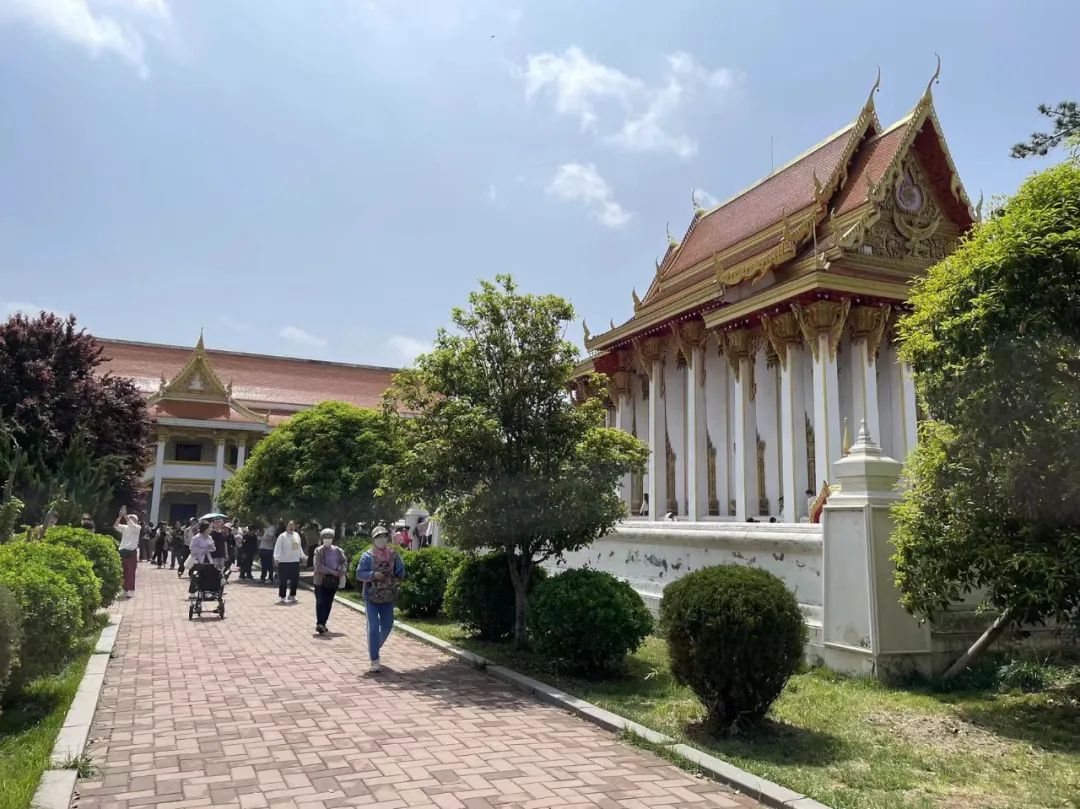 万人爬到白马寺！这样去景区的方式你绝对没见过！